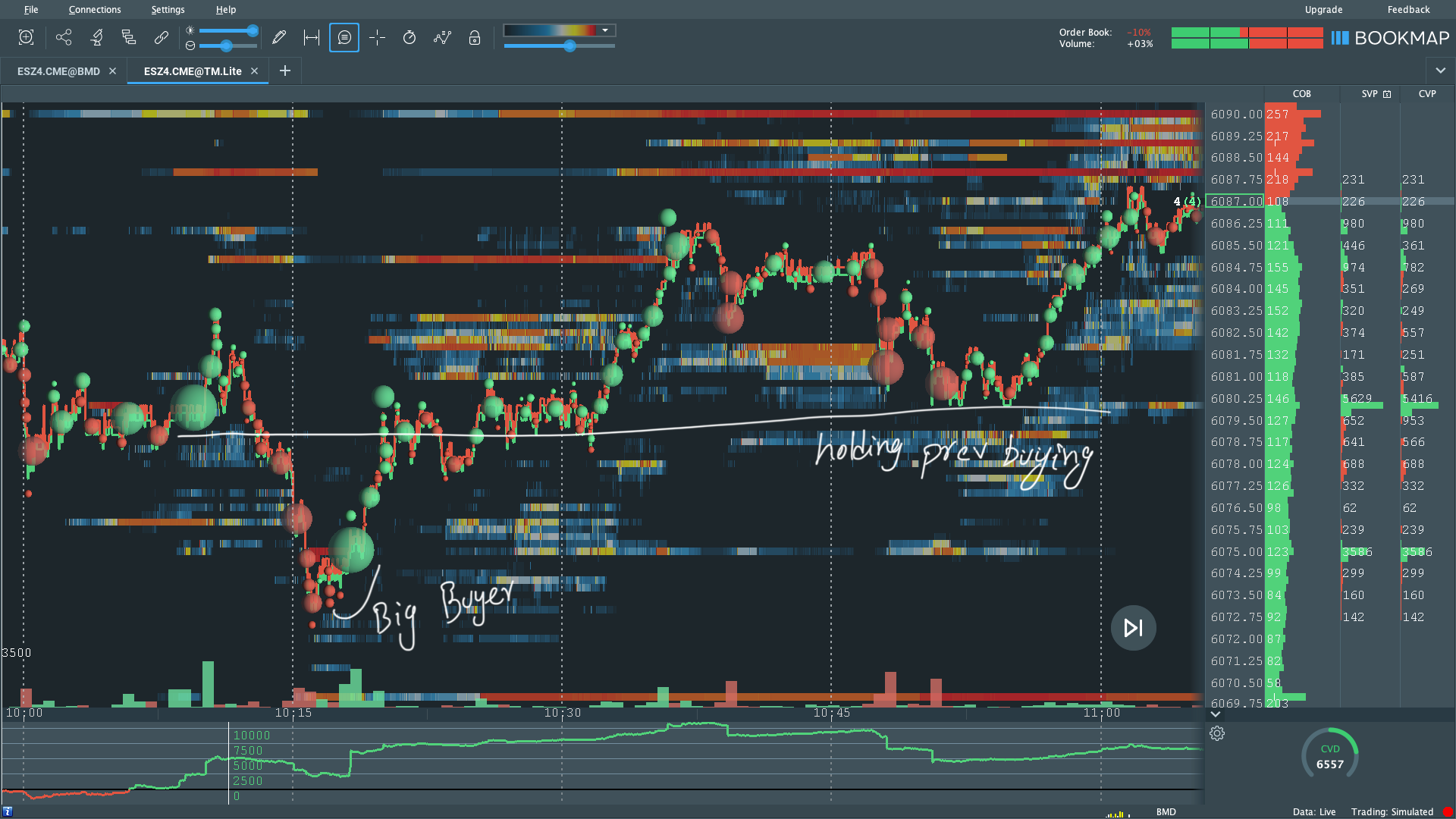 6.3 Large buyers holding the price